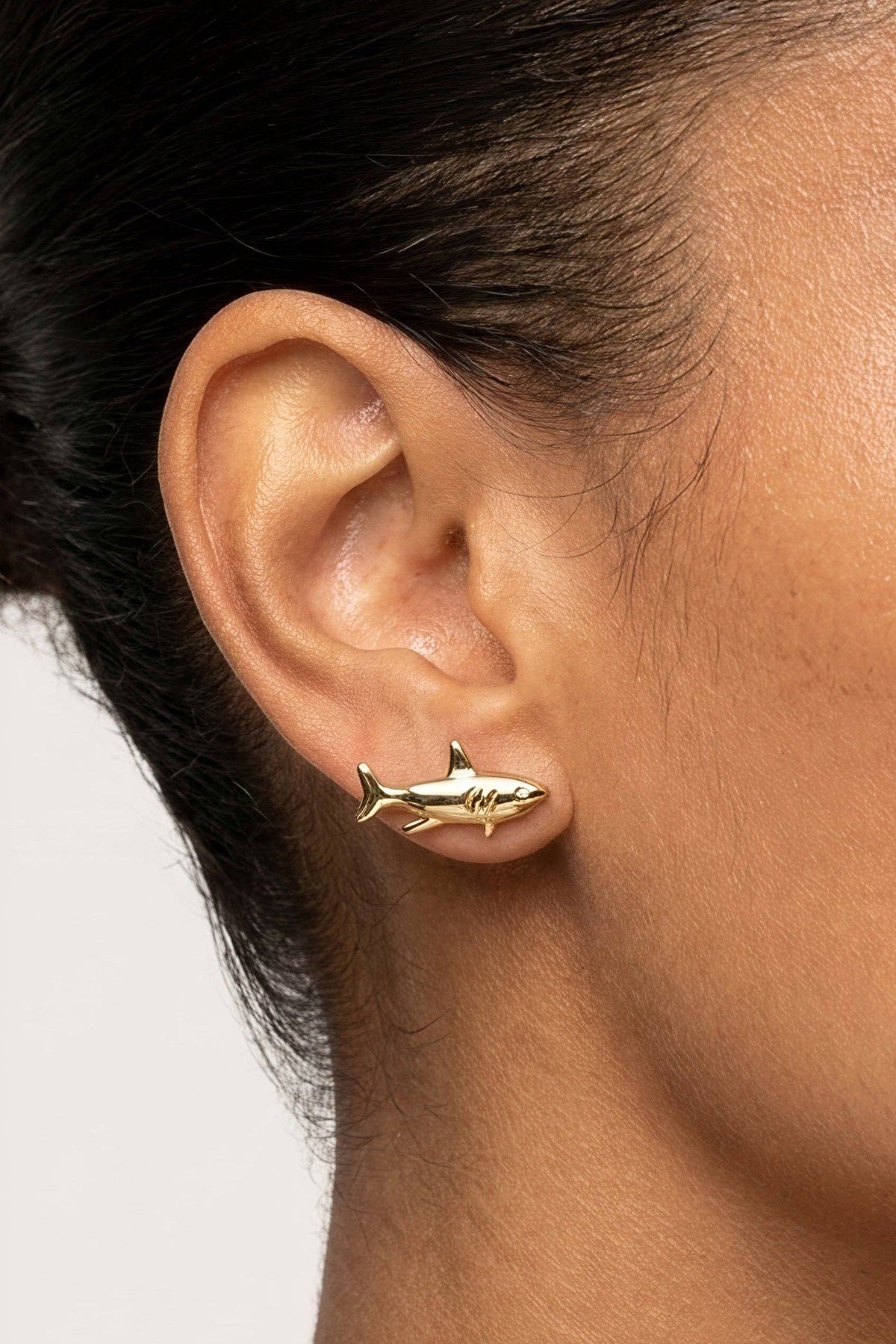 Fortune Shark Studs