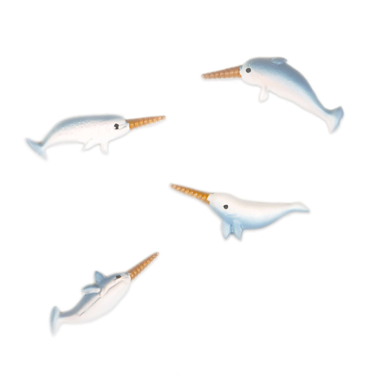 Narwhal magnets