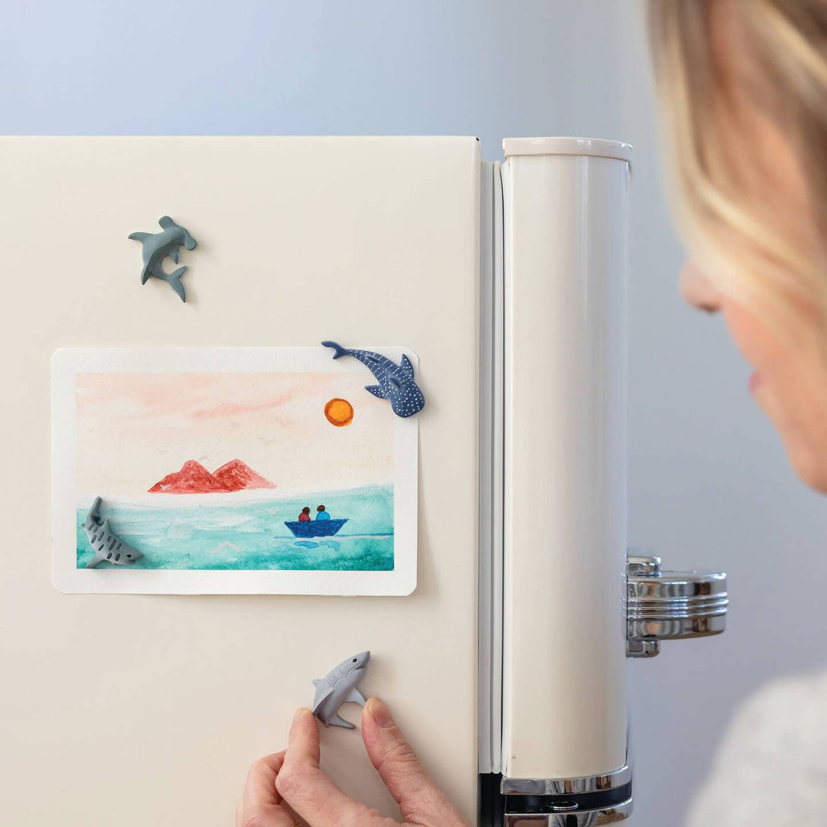 Shark Magnets