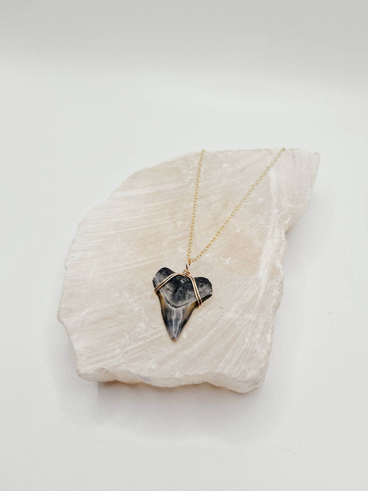 Dainty Shark Tooth Necklace - 24k Gold-Filled