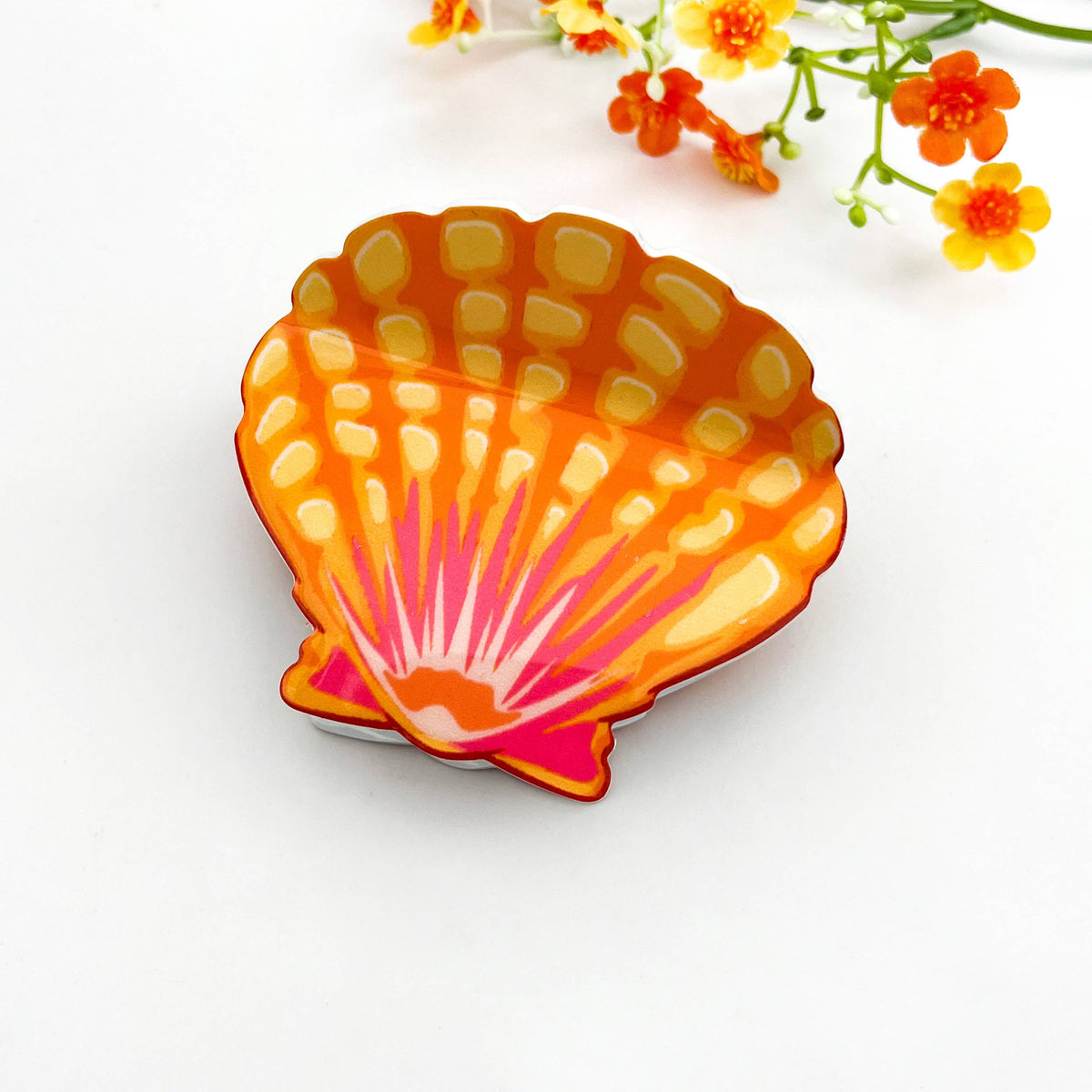 Sunrise Seashell  Hair Claw