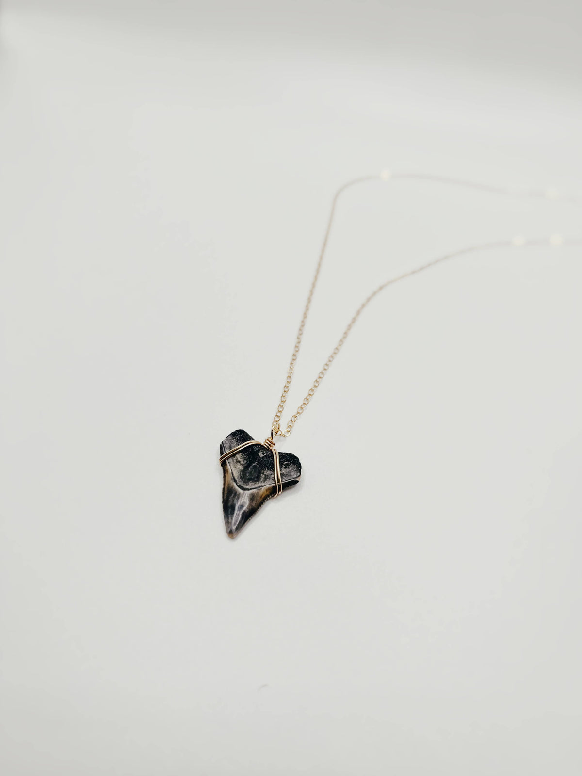 Dainty Shark Tooth Necklace - 24k Gold-Filled
