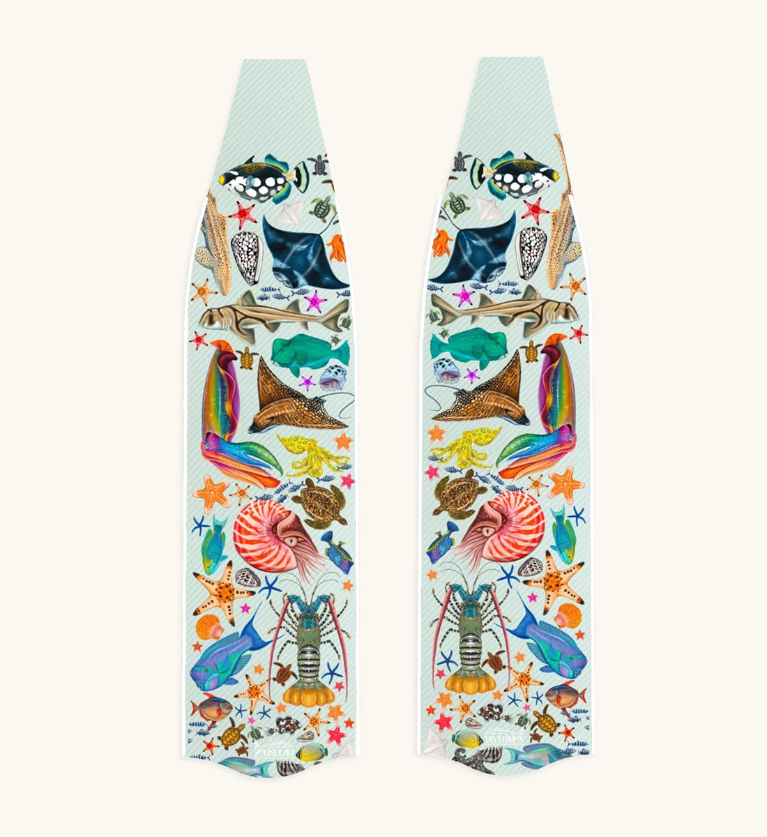 Divermon Rainbow Composite Fin Blades