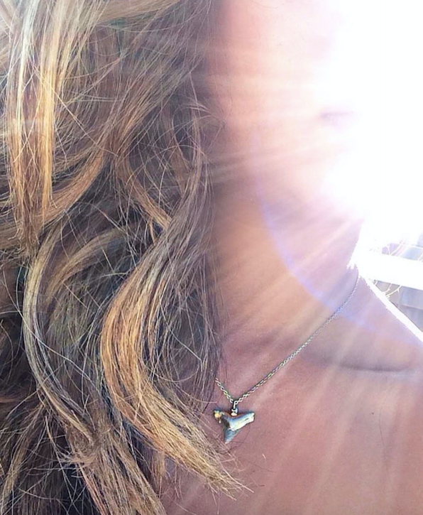 Shark Tooth Necklace