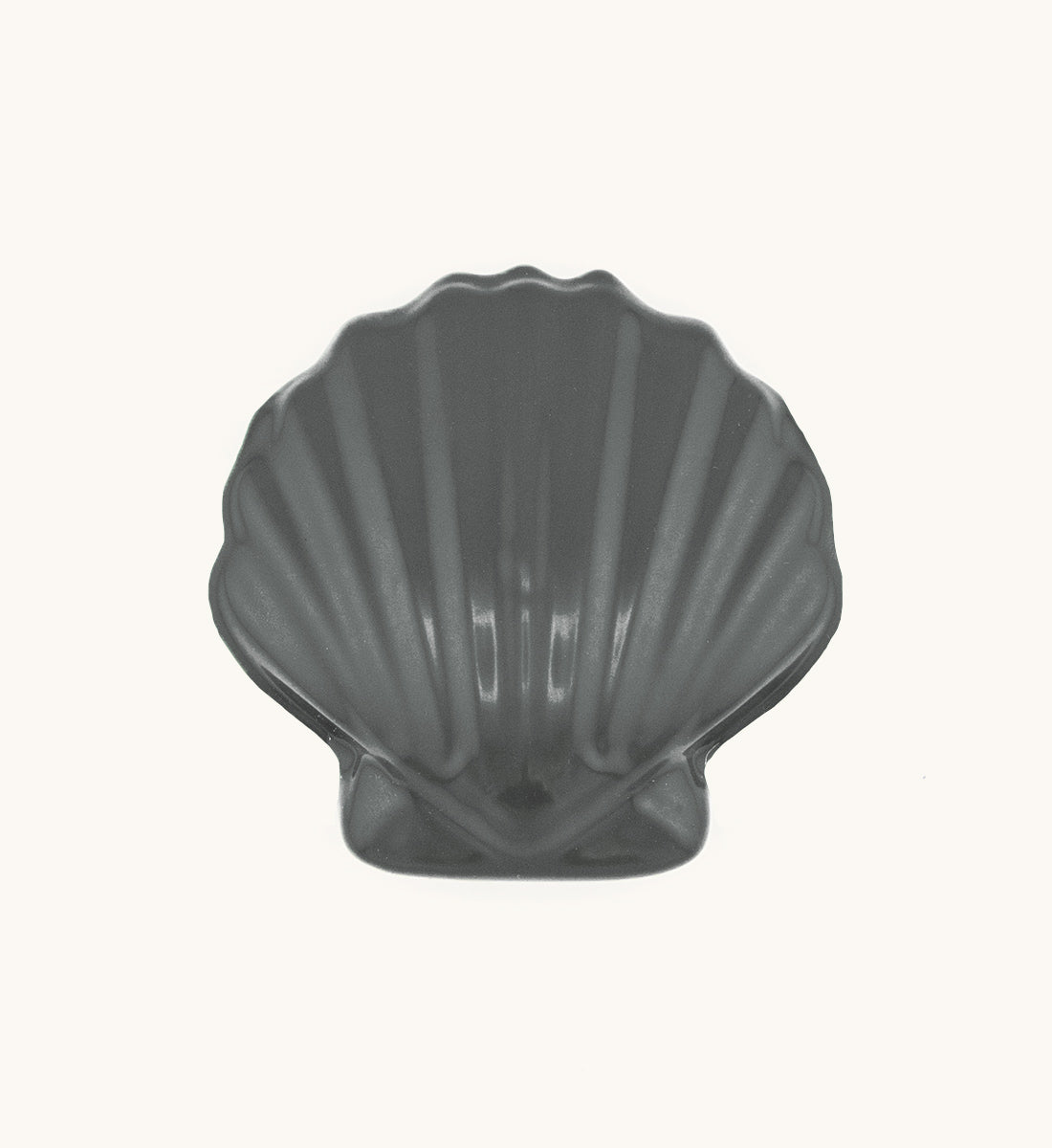 2lb Sunrise Shell - Bullshark
