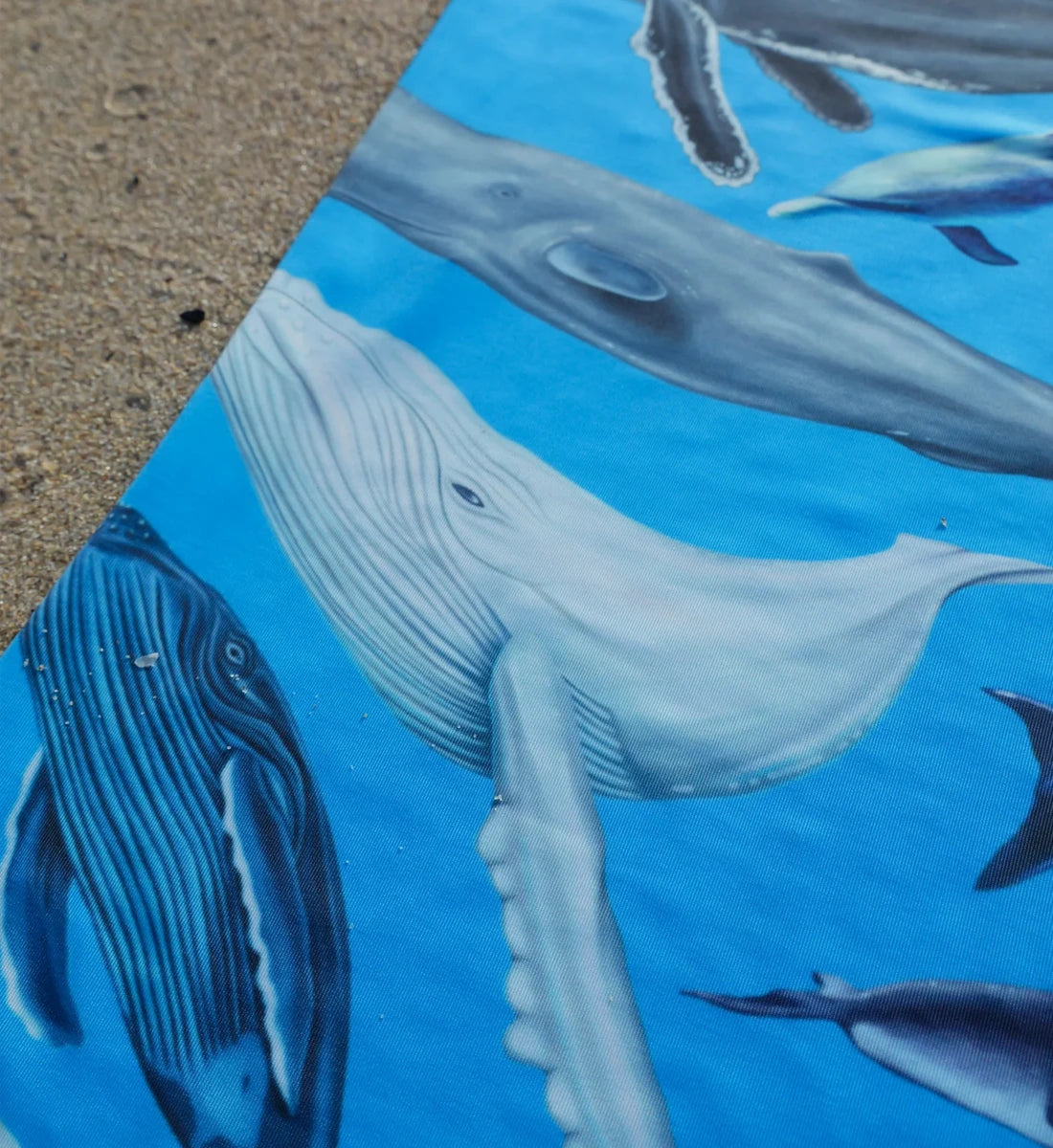 Cetaceans Gaiter