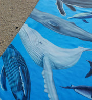 Cetaceans Gaiter