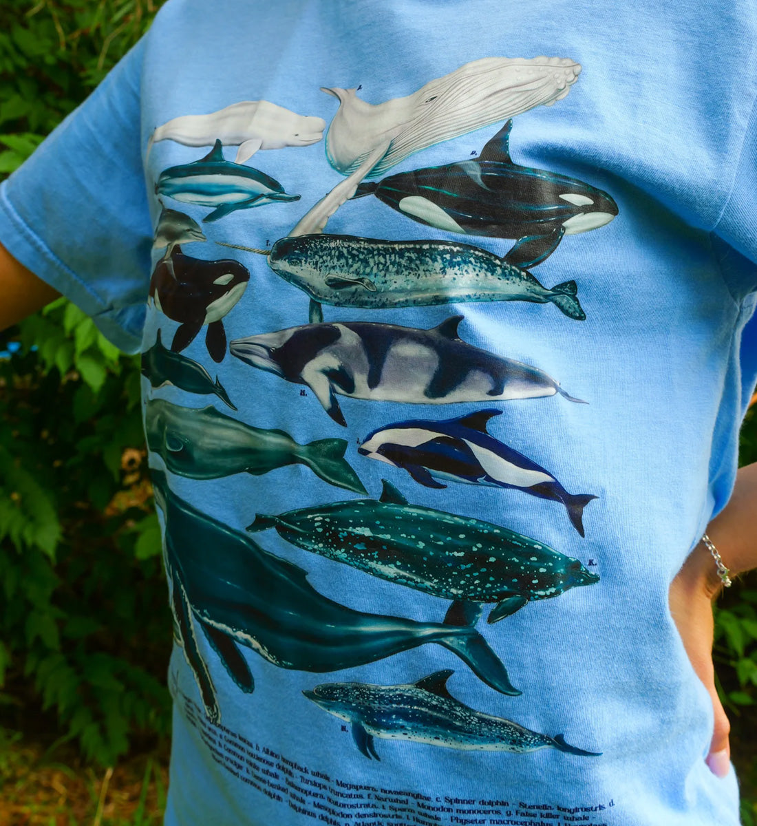 Cetaceans Shirt - Light Blue