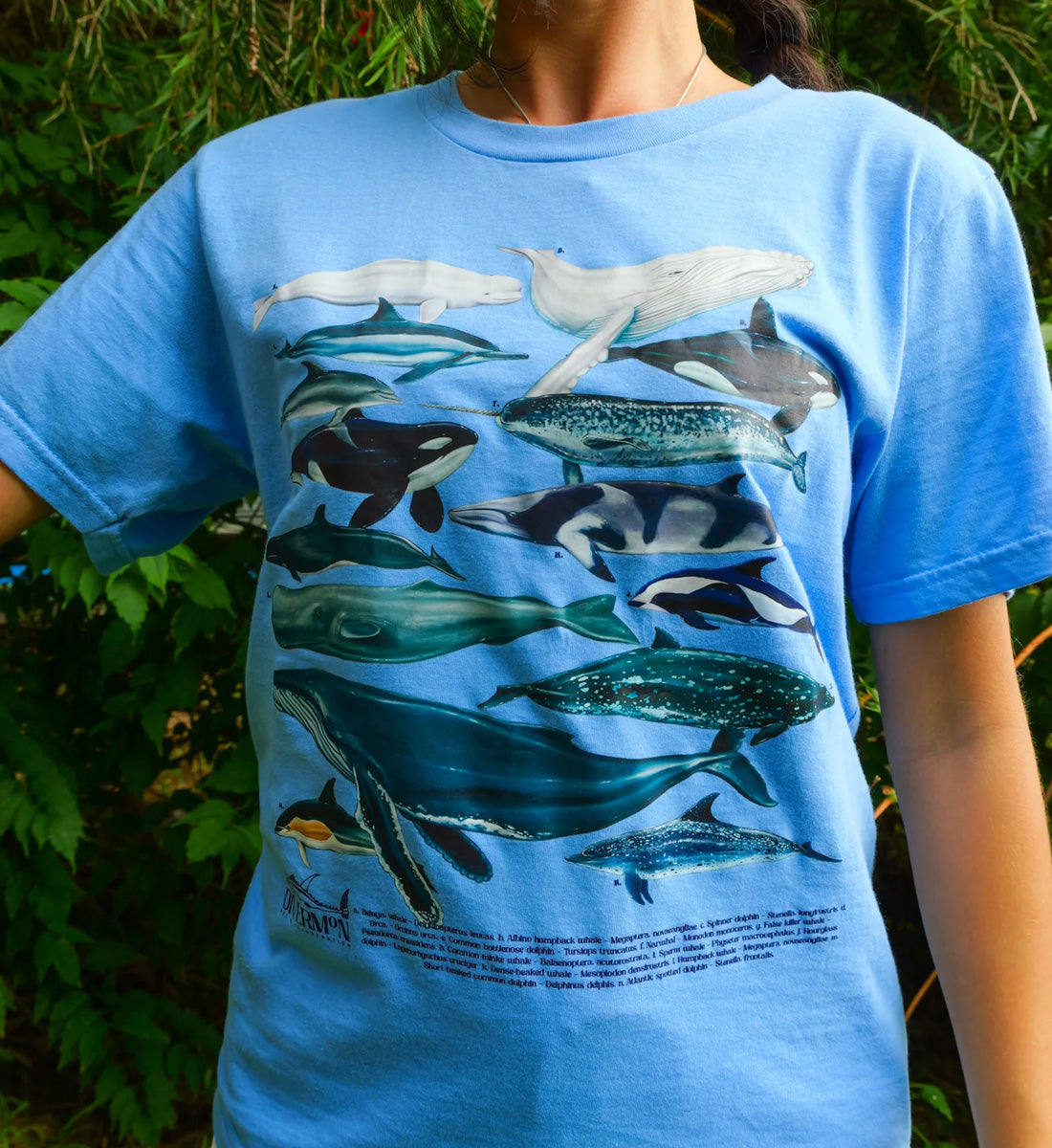 Cetaceans Shirt - Light Blue