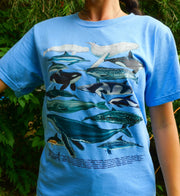 Cetaceans Shirt - Light Blue