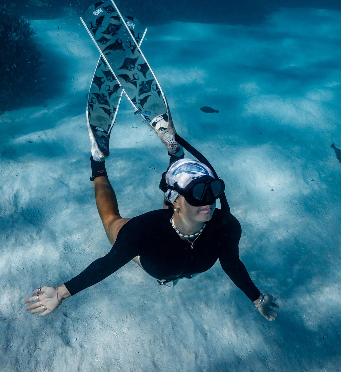 Cetaceans Gaiter White