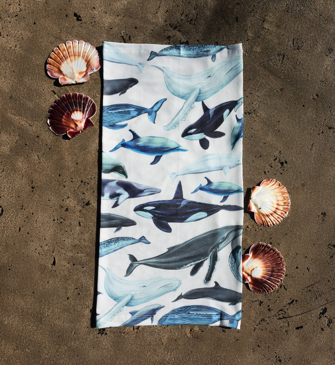 Cetaceans Gaiter White