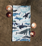 Cetaceans Gaiter White