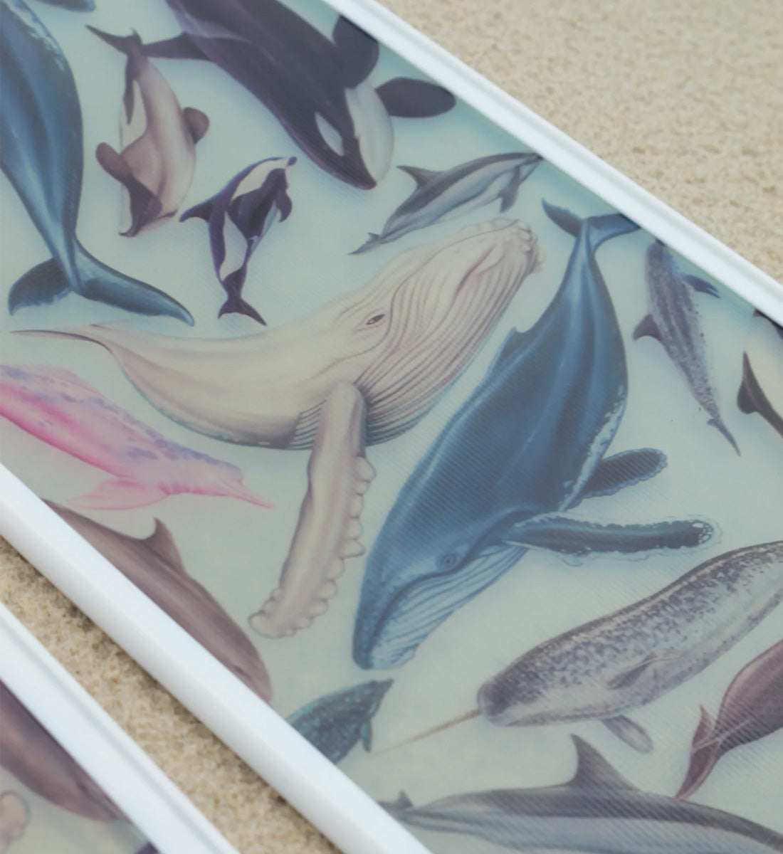 Divermon Cetaceans Composite Fin Blades