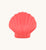 2lb Sunrise Shell - Coral