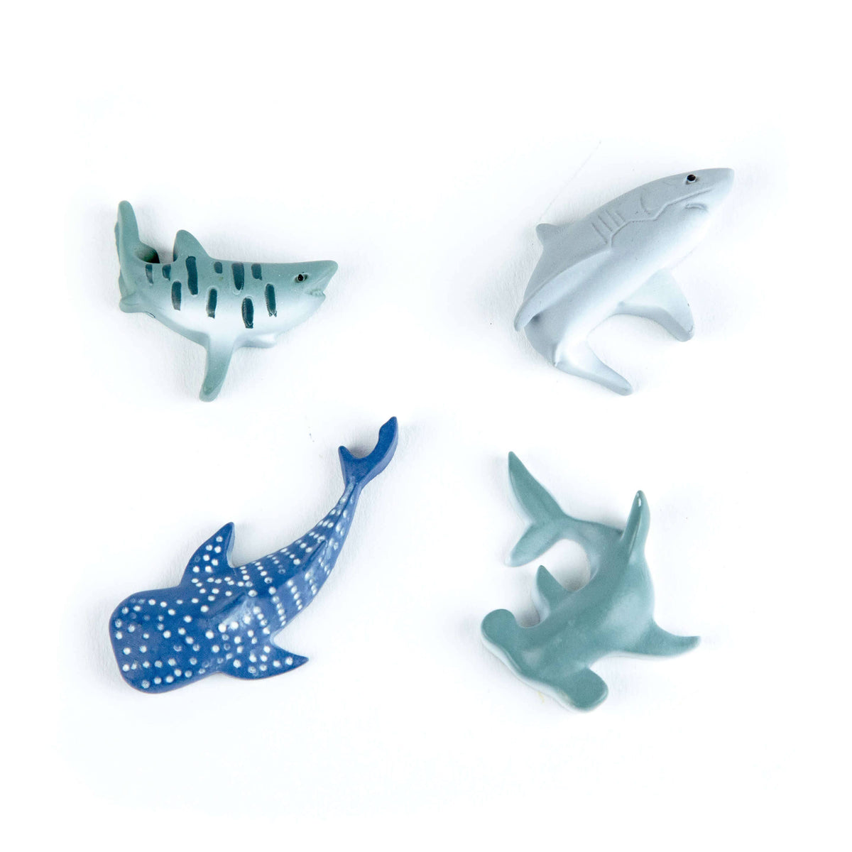Shark Magnets