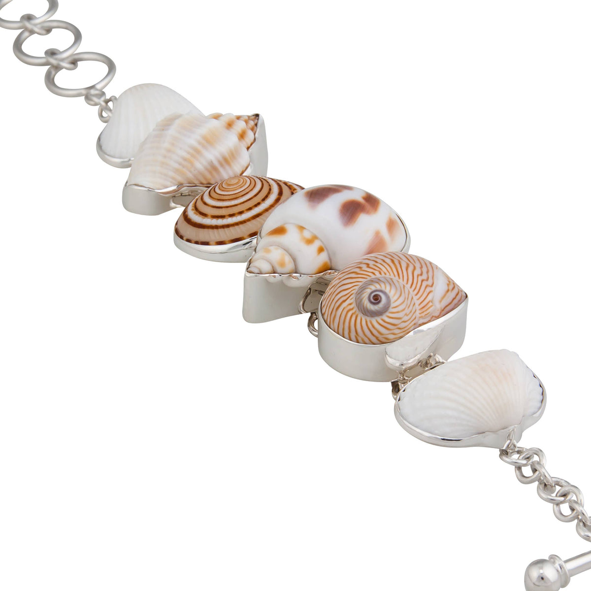Sterling Silver Multi-Shell Bracelet