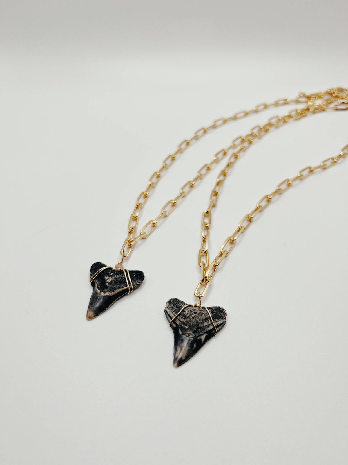 18k Gold Filled Paperclip Chain Shark Tooth Necklace: Moonstone