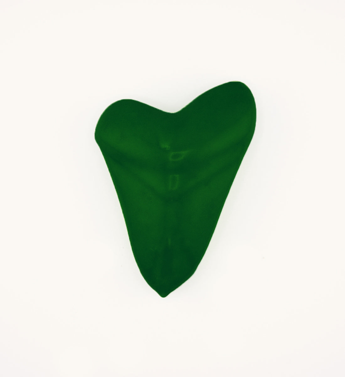 2lb Shark Tooth - Honu