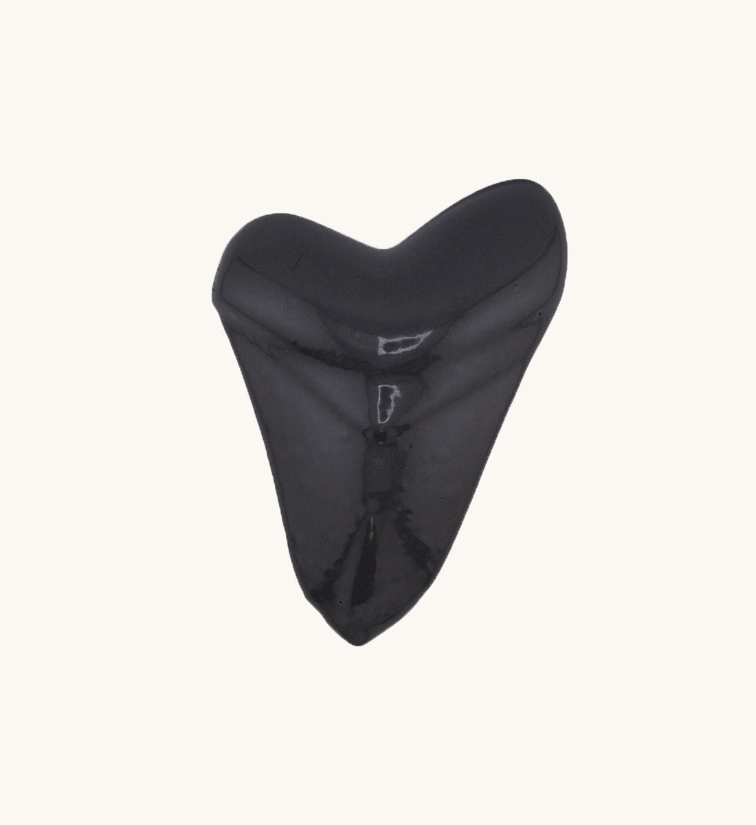 2lb Shark Tooth - Lava Rock