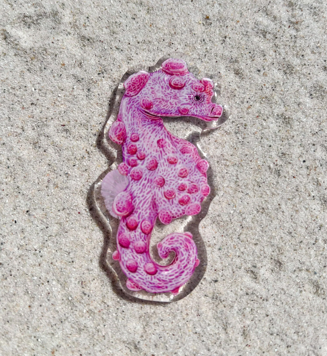 Pygmy Seahorse Resin Fridge Magnet