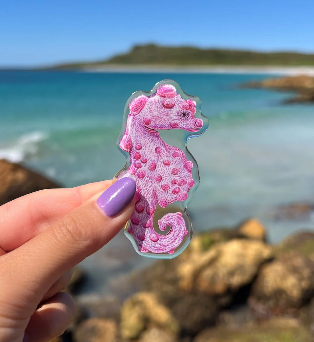 Pygmy Seahorse Resin Fridge Magnet