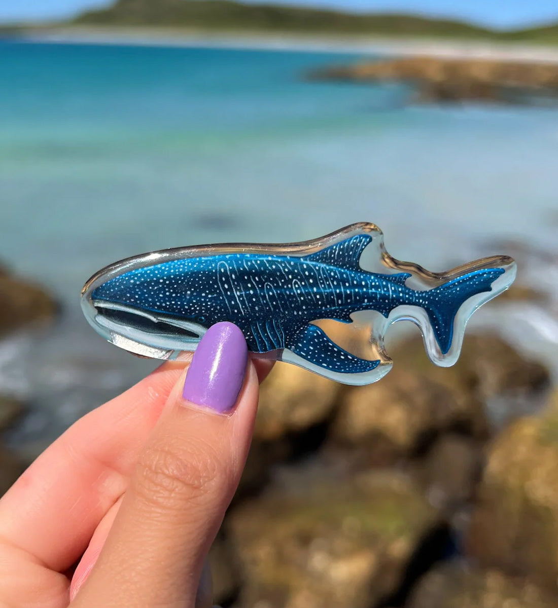 Whale Shark Resin Fridge Magnet