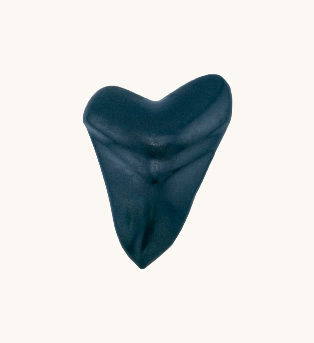 2lb Shark Tooth - Midnight Tide
