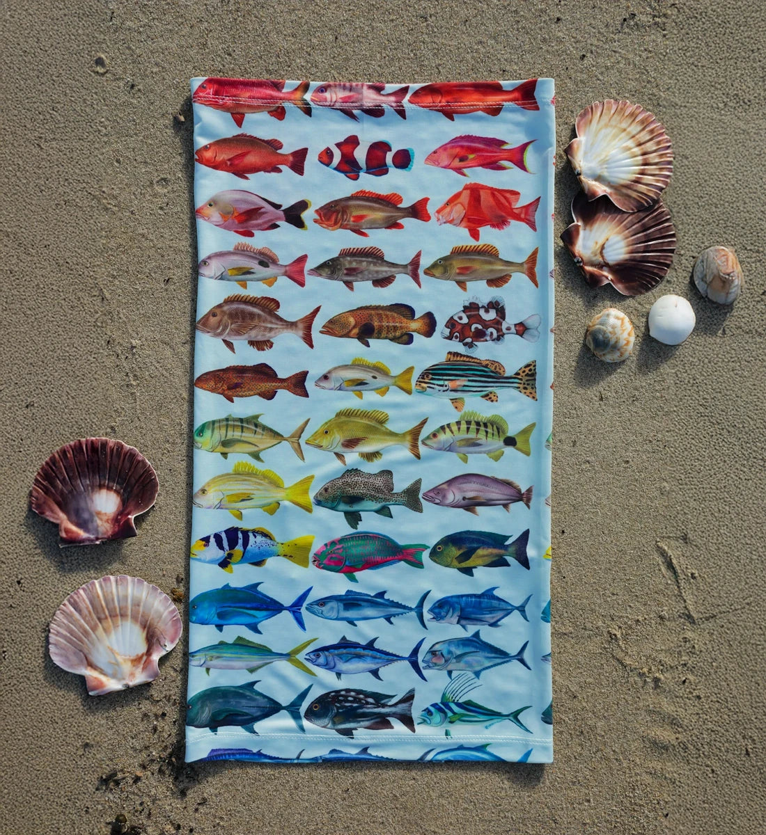 Rainbowfish Gaiter