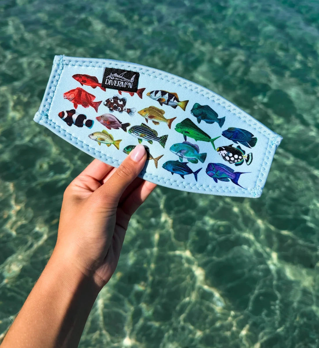 Rainbow Fish Tamer