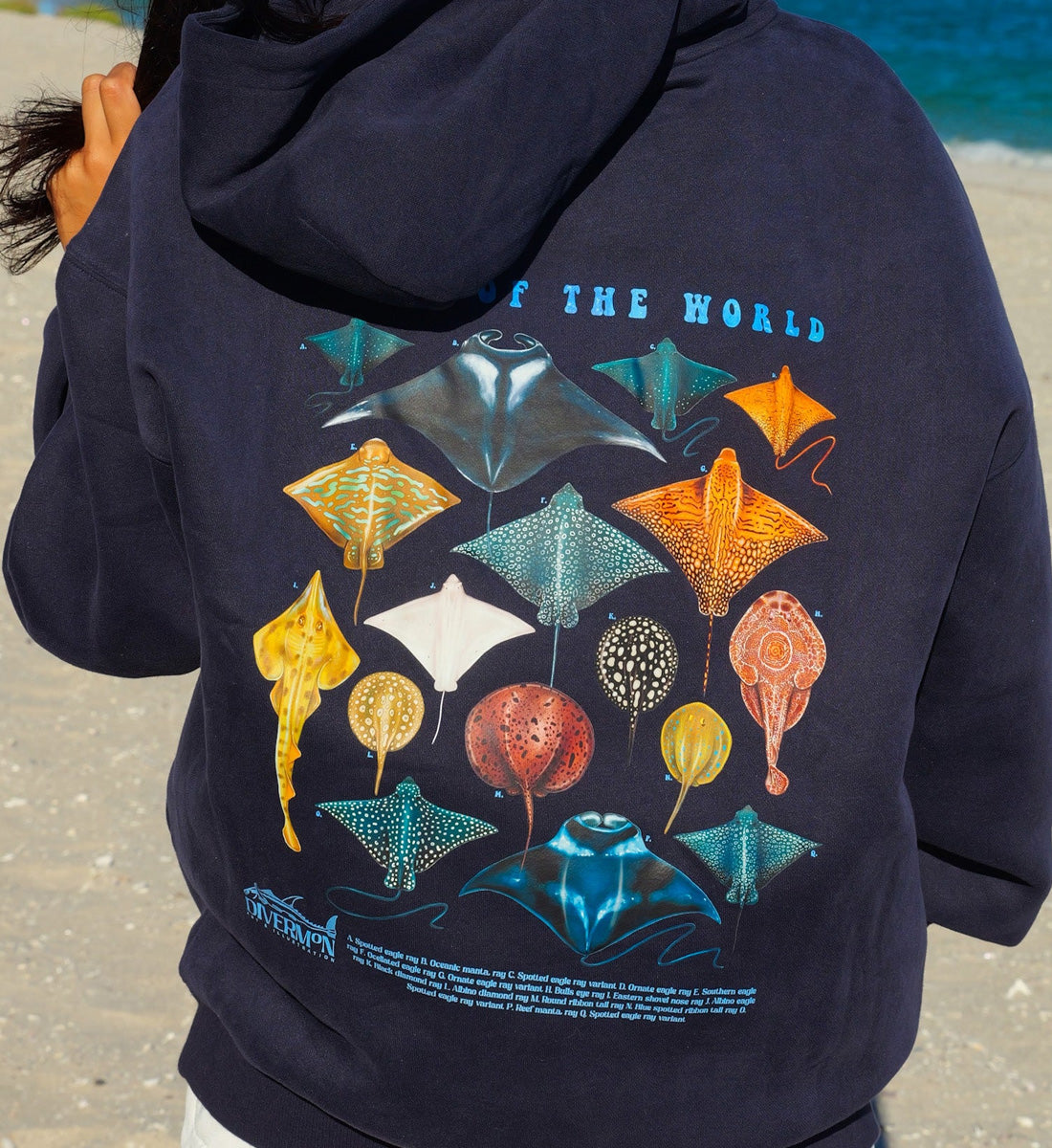 Raymix Hoodie - Navy