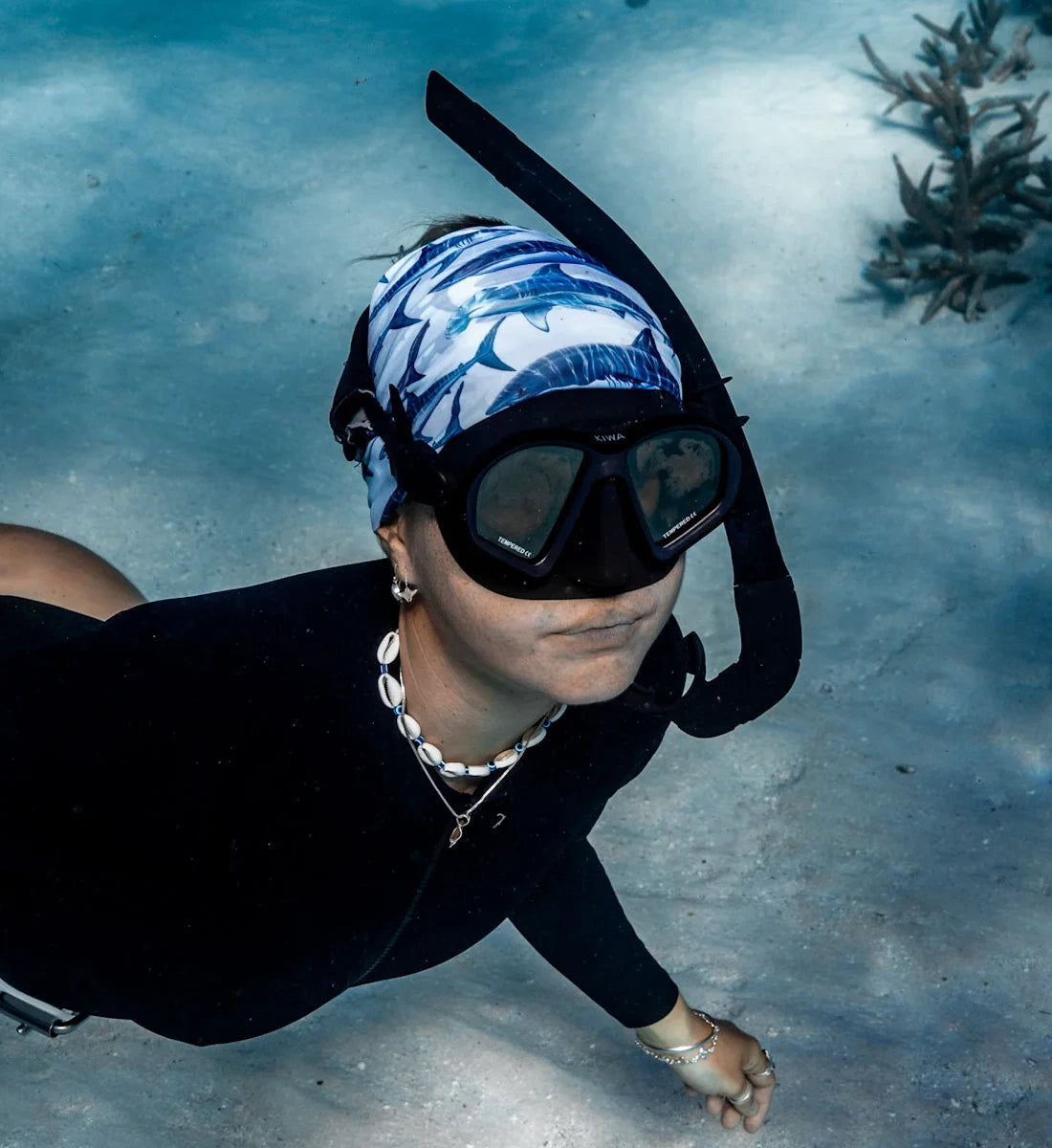Sharks Gaiter