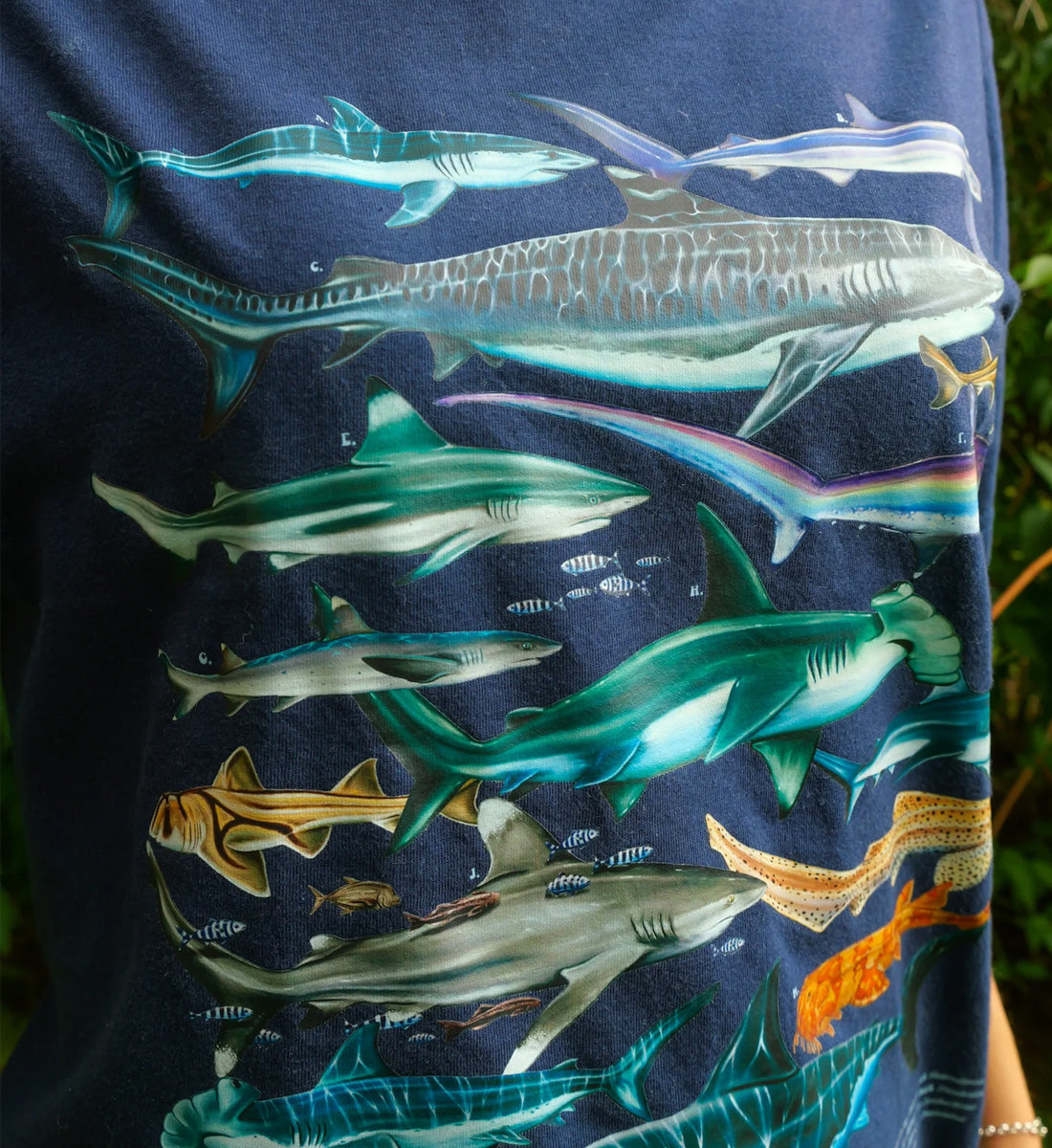 Sharks Shirt - Navy