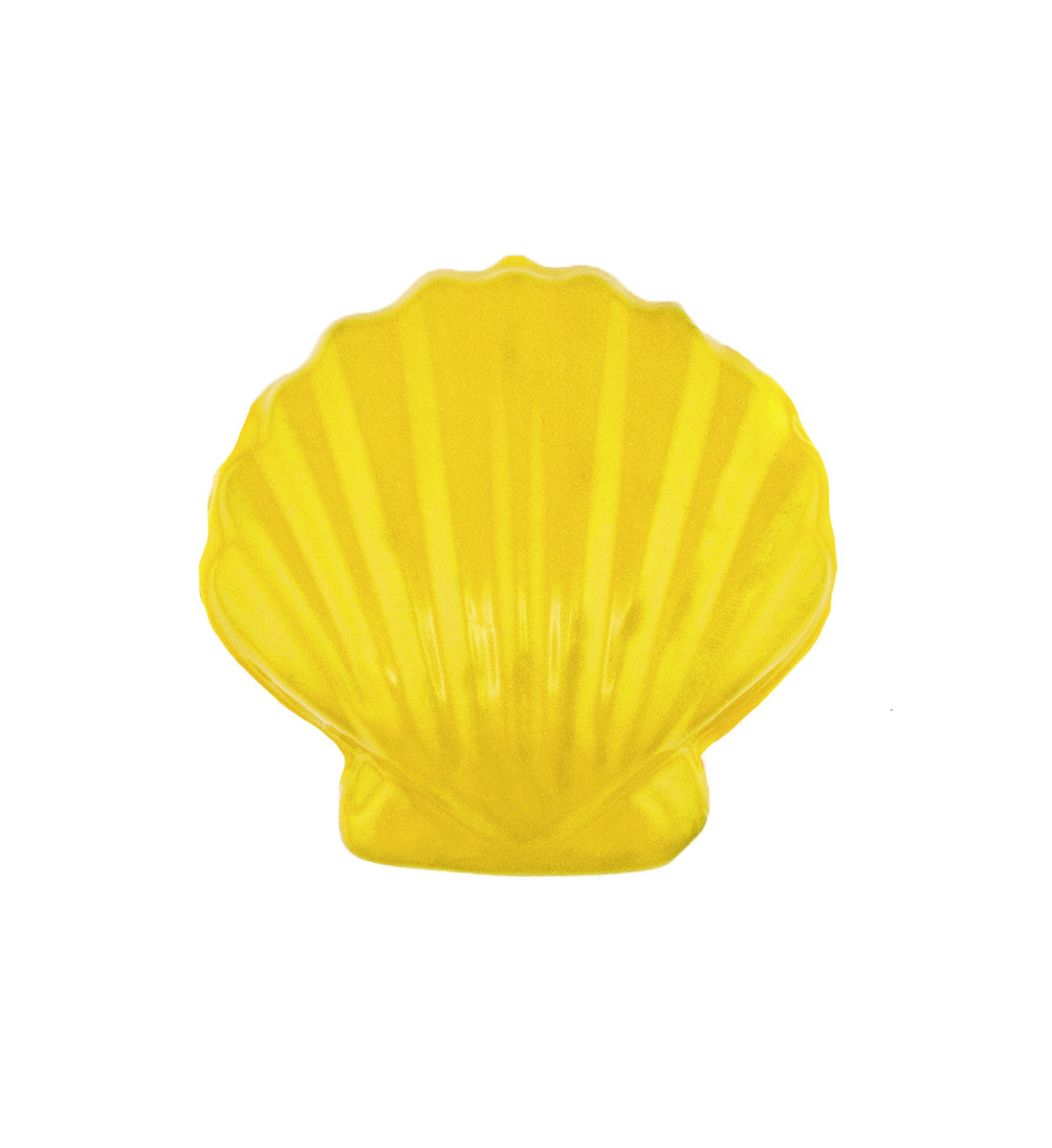 2lb Sunrise Shell - Yellow Tang